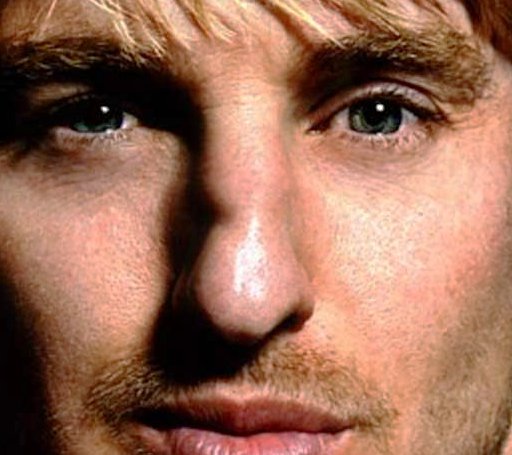 Why a picture of Owen Wilson's nose Well for one when you type'nose' into